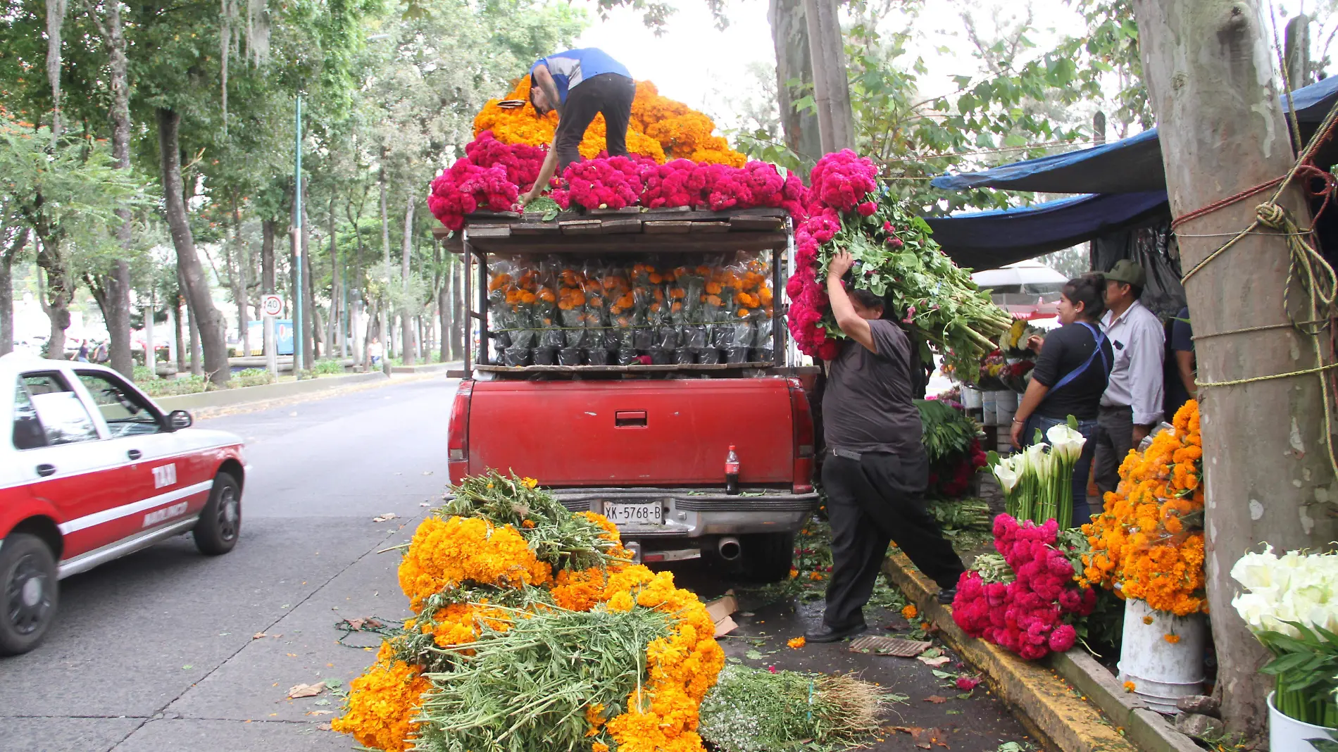 JE251020236494Venta de Flores